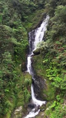 İnsansız hava aracı, Endonezya 'nın Bogor şehrindeki Halimun Dağı Ulusal Parkı' ndaki Cikawah şelalesinde dikey formata yakın uçar. Sonra bu şelalenin güzelliğini göstermek için uçar gider..