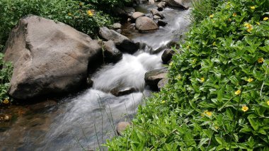Berrak nehir, yemyeşil ve parlak sarı çiçeklerle süslenmiş büyük ve küçük kayalar arasında akar.