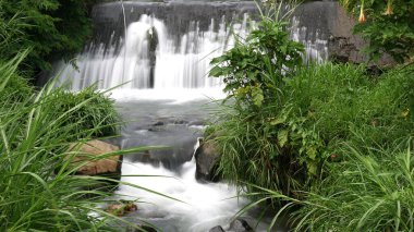 Uzun pozlama küçük şelale hızla büyük kayalar ve yemyeşil bitkiler tarafından çevrili, uzun otlar ve kenarlarında parlak renkli çiçekler ile.