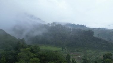 Cianjur, Endonezya 'daki Geger Bentang Dağı' nın hava aracı hareketi. İnce bir sis ormanın bazı kısımlarını kaplıyor..