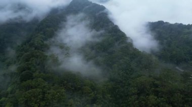 Cianjur, Endonezya 'daki Geger Bentang Dağı' nın hava aracı hareketi. İnce bir sis ormanın bazı kısımlarını kaplıyor..
