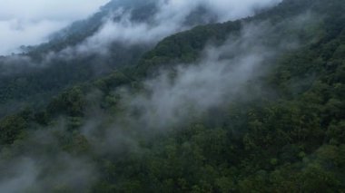 Geger Bentang Dağı, Cianjur, Endonezya 'daki yağmur ormanlarının hava aracı hareket görüntüleri. İnce bir sis ormanın bazı kısımlarını kaplıyor..