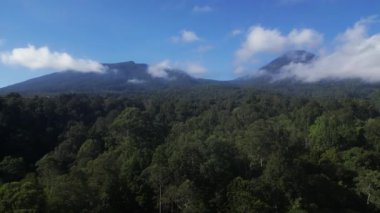 Gökyüzünü süsleyen bulutlarla kaplı Gede Pangrango Dağı 'nın yeşil ve yoğun tropikal ormanın üzerinde uçan hava manzarası..