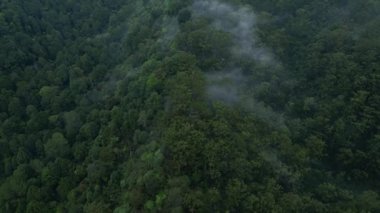 Geger Bentang Dağı, Cianjur, Endonezya 'daki yağmur ormanlarının hava aracı hareket görüntüleri. İnce bir sis ormanın bazı kısımlarını kaplıyor..