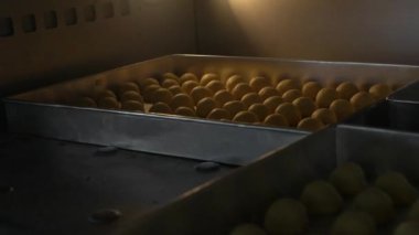 Eldiven takan bir kadının elinin etkinliği fırının içindeki pişmiş nastar kurabiyelerini çıkarmaktır..