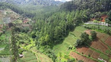 Hava aracı görüntüsü. Tarım arazisi ve tropikal ormanlar arasındaki uyum, barışçıl ve güzel dağları, doğal atmosferi oluşturur. İnsanlar ve doğa arasındaki uyum gerçekten çok güzel..