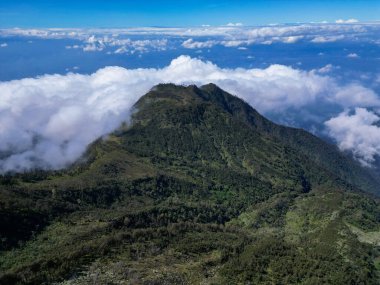 Endonezya 'nın Kawi Dağı' nın havadan görünüşü yoğun bitki örtüsü ve bazı otlaklarla kaplıdır. Mavi gökyüzü ve arka planda dramatik bulutlar.