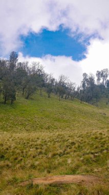 Çayır manzarası yabani otlar ve Edelweiss ağaçları ile kaplıdır. Mavi gökyüzü, kalın beyaz bulutların oluşturduğu daireler dramatik bir etki yaratıyor..