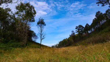 A natural landscape featuring dry and green grasslands among rolling green hills. Scattered trees line the slopes, with a bright blue sky and wispy clouds in the background.