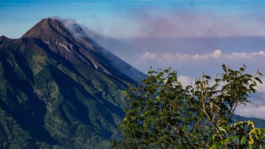 Merapi Dağı Endonezya 'daki en aktif volkandır. Fotoğraf Merbabu Dağı yürüyüş parkurunda çekildi..
