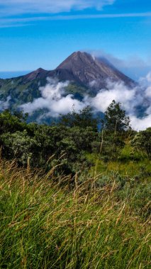 Beyaz bulutlarla kaplı volkanik duman yayan Merapi Dağı manzarası ve mavi gökyüzü arka planına karşı yemyeşil dağ bitkisi.