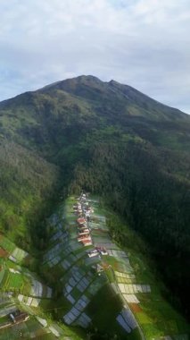 Tepedeki küçük bir köyün insansız hava aracı görüntüsü. Teraslı tarım arazileri ve tropik yeşil ormanlarla çevrili. Merbabu Dağı arkasında..
