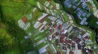İnsansız hava aracı, tropik bir dağ köyündeki tarım arazilerinin, geleneksel evlerin ve ormanların düzenini gösteriyor..
