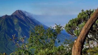 Merapi Dağı 'nın güzel manzarası. Önünde Edelweiss çiçekleri var. Merbabu Dağı Yürüyüş Yolu' ndan.