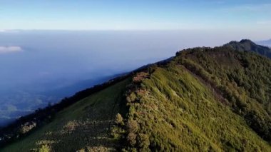 Hava aracı uçuşu Butak Dağı 'nın Doğu Java, Endonezya' daki zirvesini gösteriyor. Sabahları güzel tropikal dağ manzarası, ağaçlar, çayırlar ve gökyüzü arasındaki zıt doğa renkleri..