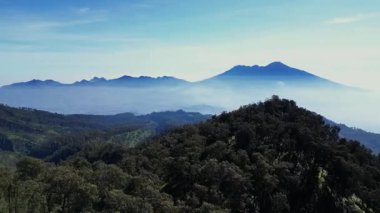 İHA yoğun yeşil ağaçlarla tropikal yağmur ormanları üzerinde uçuyor. Uzakta, Arjuno Dağı ve Welirang sabah ince bir sis tabakasıyla kaplıdır..