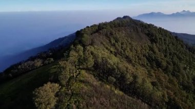 Dağ sırtının tepesindeki hava manzarası. Dik dağ kayalıkları arasında tropik ağaçların büyüdüğü görülüyor. Arka plan dağların güzelliği, sabah sisi ve zıt gökyüzü..