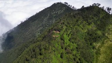 Yamaçta küçük bir kamp alanı olan yemyeşil bir dağın havadan görünüşü. Yoğun ağaçlar ve beyaz bulutlarla dolu güzel doğal bir manzara. Yürüyüş, macera ve doğa turizmi için mükemmel..