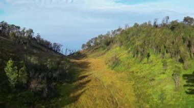 Tepeler arasında geniş çayırları olan yeşil vadi üzerinde uçan dron. Gölgeli ağaçlarla, yürüyüş yollarıyla ve mavi gökyüzüyle güzel doğal manzara macera ve doğa turizmi kavramları için mükemmel..