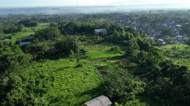Parlak bir sabahta, yeşil çayırlar ve ağaçlarla dolu bir ovayı gösteren hava manzarası. Yandan gelen güneş ışığı ilginç gölgeler yaratır. Uzakta ince bir sis hala yüzüyor..