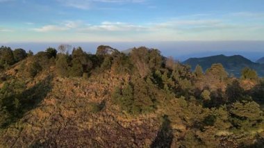 Soğuk bir yaz sabahında Prau Dağı ve Dieng Platosu 'nun doğal manzarasının güzelliği. Mavi gökyüzü, ağaçlar, çayırlar, aktif kraterler duman ve köyler yayıyor, yaşam uyumu içinde birleşiyorlar..