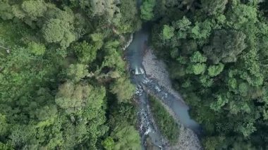 İnsansız hava aracının havadan görünüşü doğanın huzurlu ve huzurlu güzelliğini gösteriyor. Aşağıdaki nehir, berrak suların aktığı yoğun yeşil ormandan geçer ve kayalardaki küçük akıntılardan geçer..