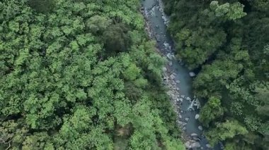 Yoğun yeşil bir ormandan geçen bir nehrin üzerinde uçan insansız hava aracının görüntüsü. Temiz su sakince akar ve kayalıklardaki küçük akıntılardan geçer. Bu da güzel ve huzurlu bir doğayı gösterir..