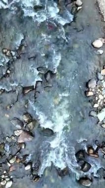 Nehrin üzerinde uçan insansız hava araçları, temiz suyun sakin bir şekilde aktığını ve küçük akıntılardan geçtiğini gösteriyor. Plastik atıklar ve yapraklar ağaç dallarına sıkışmış olarak görülür..
