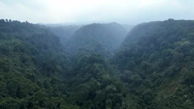 Hava manzarası, İHA 'lar aşağıdaki sık ormanlık bir vadide uçuyor. Vadiyi çevreleyen yeşil ağaçlar, kayalıklar ve ince sis bu doğal manzaraya dramatik ve sakin bir atmosfer verir..