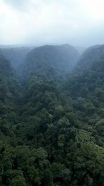 İnsansız hava aracı, sık ormanlı bir vadide geriye doğru uçuyor. Vadiyi çevreleyen yeşil ağaçlar, kayalıklar ve ince sis manzaraya dramatik ve sakin bir doğal atmosfer veriyor..