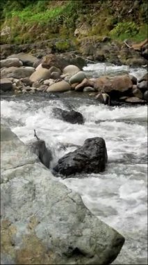 Tropikal bir ormanın ortasında, kayalık akıntıların arasından akan berrak suyu olan bir nehir. Etrafında geniş ve küçük kayalar ve yoğun yeşil orman bitkileri vardır..