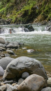 Net nehir suyu, geniş ve küçük kayalardan oluşan küçük akıntılar boyunca yosunlu yeşil uçurumlar ve yemyeşil doğal bitki örtüsüyle hızla akar. Plastik atıklar ağaç dallarına takılıyor.
