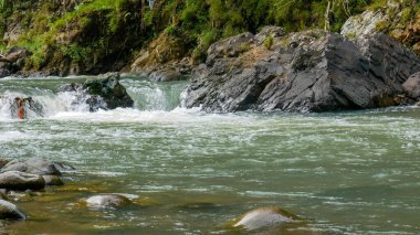 Net nehir suyu, geniş ve küçük kayalardan oluşan küçük akıntılar boyunca yosunlu yeşil uçurumlar ve yemyeşil doğal bitki örtüsüyle hızla akar. Plastik atıklar ağaç dallarına takılıyor.