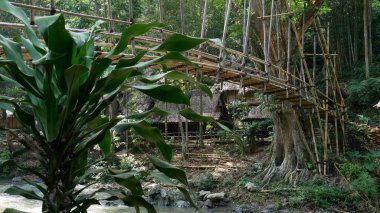Bambu köprüsü Gajeboh köyünde, Outer Baduy Kabilesi 'nde, Banten, Endonezya' da, Baduy kabilesi köyleri arasında bağlantı köprüsü olarak. İkonik ve benzersiz köprü doğal malzemelerden oluşur..