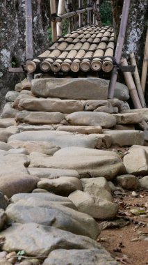 Gajeboh Bamboo Bridge of the Baduy tribe in Indonesia, was made without modern technology. Only by using bamboo that is neatly arranged, parallel and sturdy between two large trees. clipart