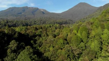 Gede Dağı ve Pangrango Dağı, Gede Pangrango Dağı Ulusal Parkı, Cianjur, Batı Java 'da yer alır ve Endonezya' da yeni başlayanlar için favori bir dağdır..