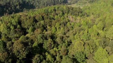 Gede Pangrango Dağı Ulusal Parkı, Cianjur, Batı Java 'nın havadan görünüşü Endonezya' daki yeni başlayanlar için bir koruma alanıdır..