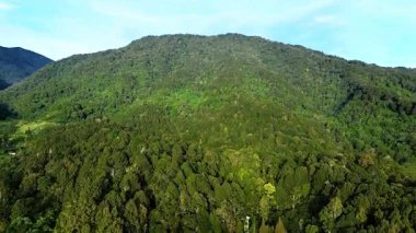 Uçsuz bucaksız sık ormanları olan yeşil dağların havadan görünüşü. Manzara, sık ağaçlı doğal bitki örtüsünün zenginliğini ve tropikal doğanın hala korunmuş güzelliğini gösteriyor..