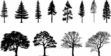 Ağaç koleksiyonu vektör dizaynı