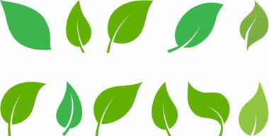 Eko doğa yeşil renk yaprağı simgeleri koleksiyon vektör tasarımını ayarlar