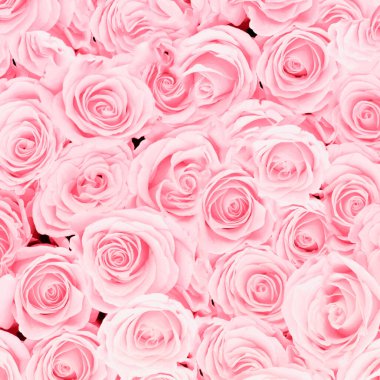 Pembe güllerle kusursuz desen