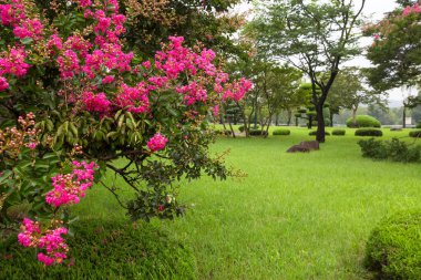 Güney Kore, Gwangju 'daki Gwangju Biennale Jungoe Park' ta serin bir yaz günü.