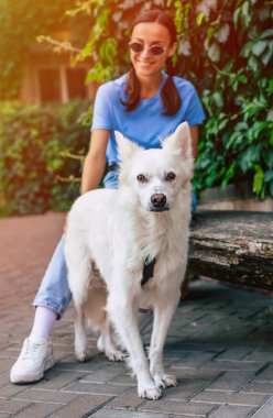 Gözlüklü mutlu genç bayan dışarıda sevimli beyaz tüylü köpeğiyle oynuyor. Evlat edinme, kurtarılma, barınma, yoldaş, evcil hayvan.