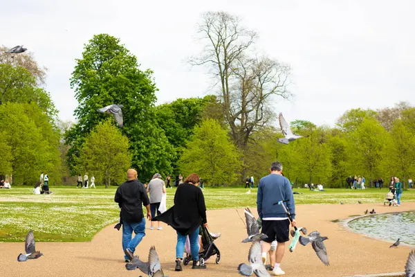 Londra, İngiltere, 30 Nisan 2023: Kensington Bahçeleri, göl kenarında insanlar yürüyor ve sahnede bazı güvercinler uçuyor.