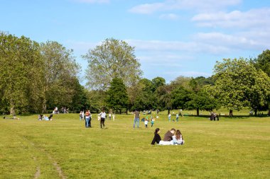 Greenwich Park 'taki çimlerde dinlenen insanlar mavi gökyüzüyle güzel bir günde