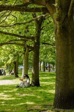 Ağaçların altında kitap okuyan bir kadın çimlerin üzerinde oturuyor.