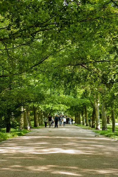 Greenwich Park 'taki patikalardan birinde insanlar yürüyordu.