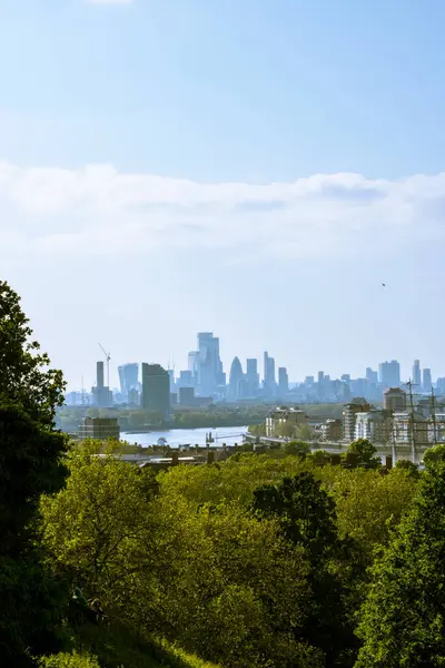 Arka planda şehir olan Greenwich Park 'ın tepesinden görüntü