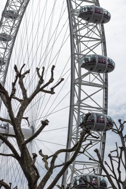 Bulutlu bir günde ağaçlarla kaplı Londra Gözü manzarası