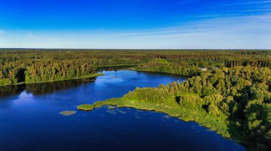 Yaz Senfonisi: Estonya 'da Orman ve Nehir
